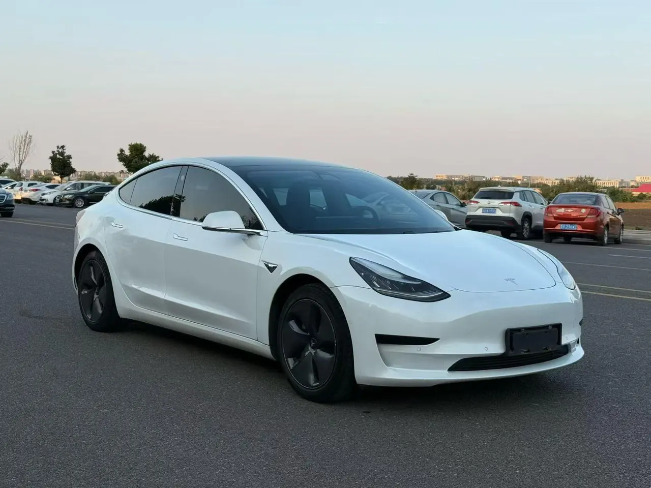 Tesla 2020 Model 3 Standard Endurance Rear Drive Upgraded Automatic Gear 3