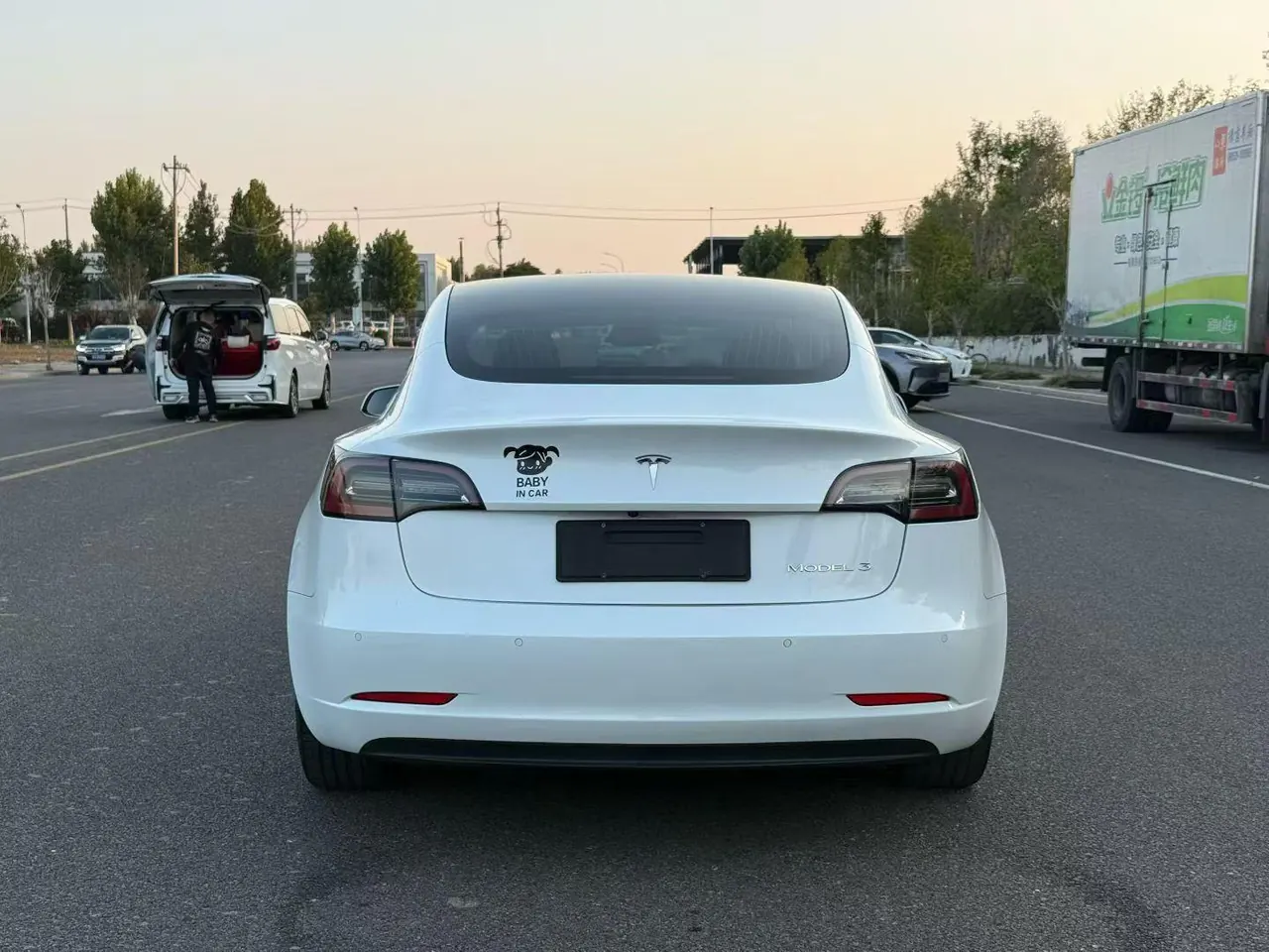 Tesla 2020 Model 3 Standard Endurance Rear Drive Upgraded Automatic Gear 8