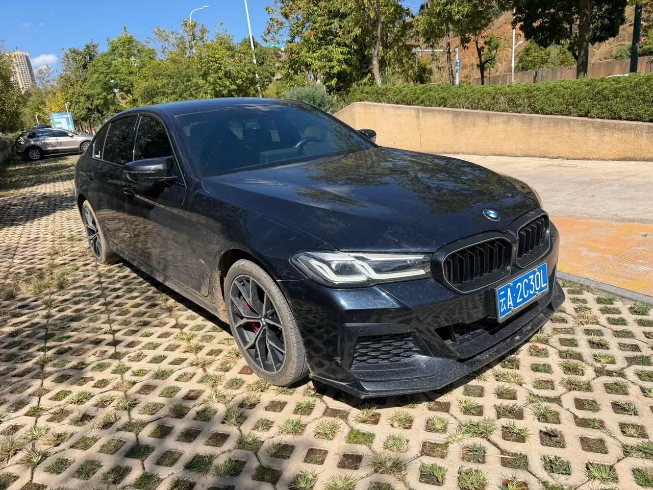 BMW 5 Series 2022 530Li 2.0T Exclusive M Sports Suit (Change 2) Automatic Gear 3