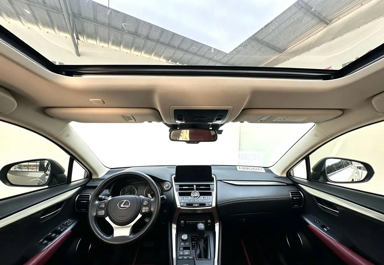 Lexus NX (Imported) 2020 NX200 2.0 Stepless Front Edition Automatic Gear 13