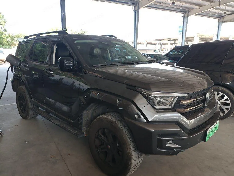 Tank 2024 Tank 400 Hi4-T 2.0T off-road version automatic gear 2