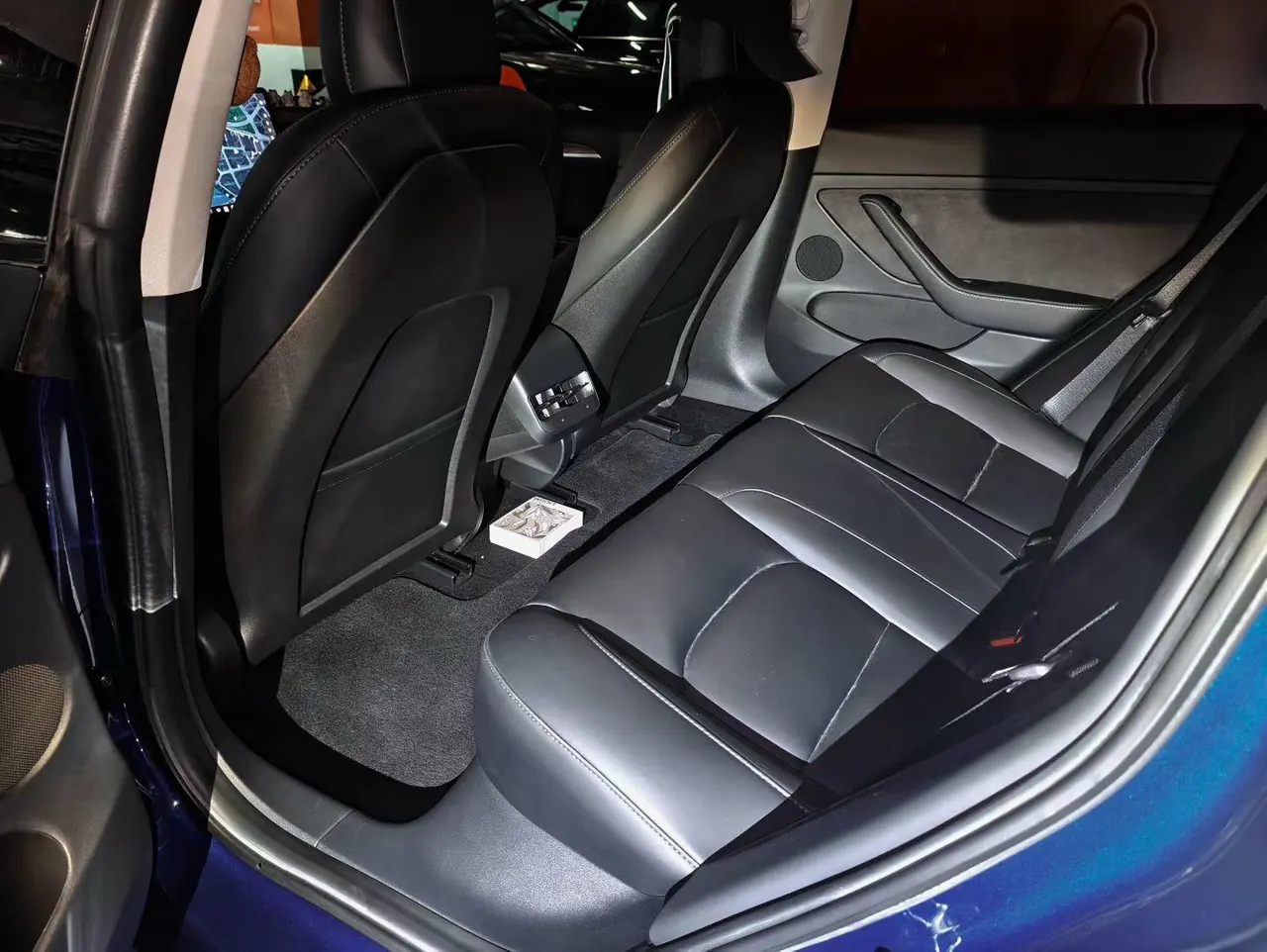 Tesla 2021 Model 3 Standard Endurance Rear Drive Upgraded Automatic Gear 7