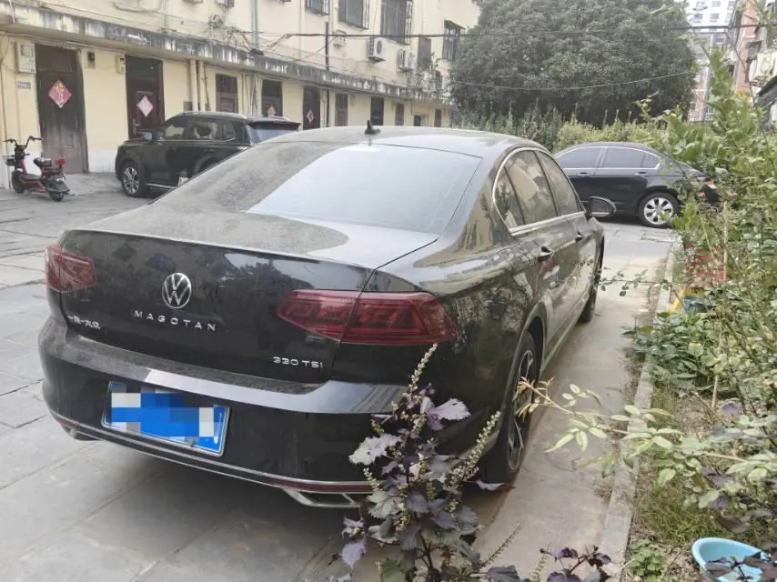 Volkswagen 2024 Magotan 2.0TSI 330TSI 2 million luxury automatic gear 3