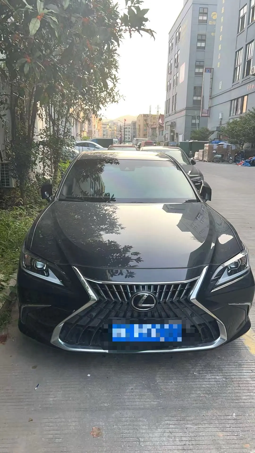 Lexus ES (Imported) 2020 ES200 2.0 Stepless Premium Edition Automatic Gear 2