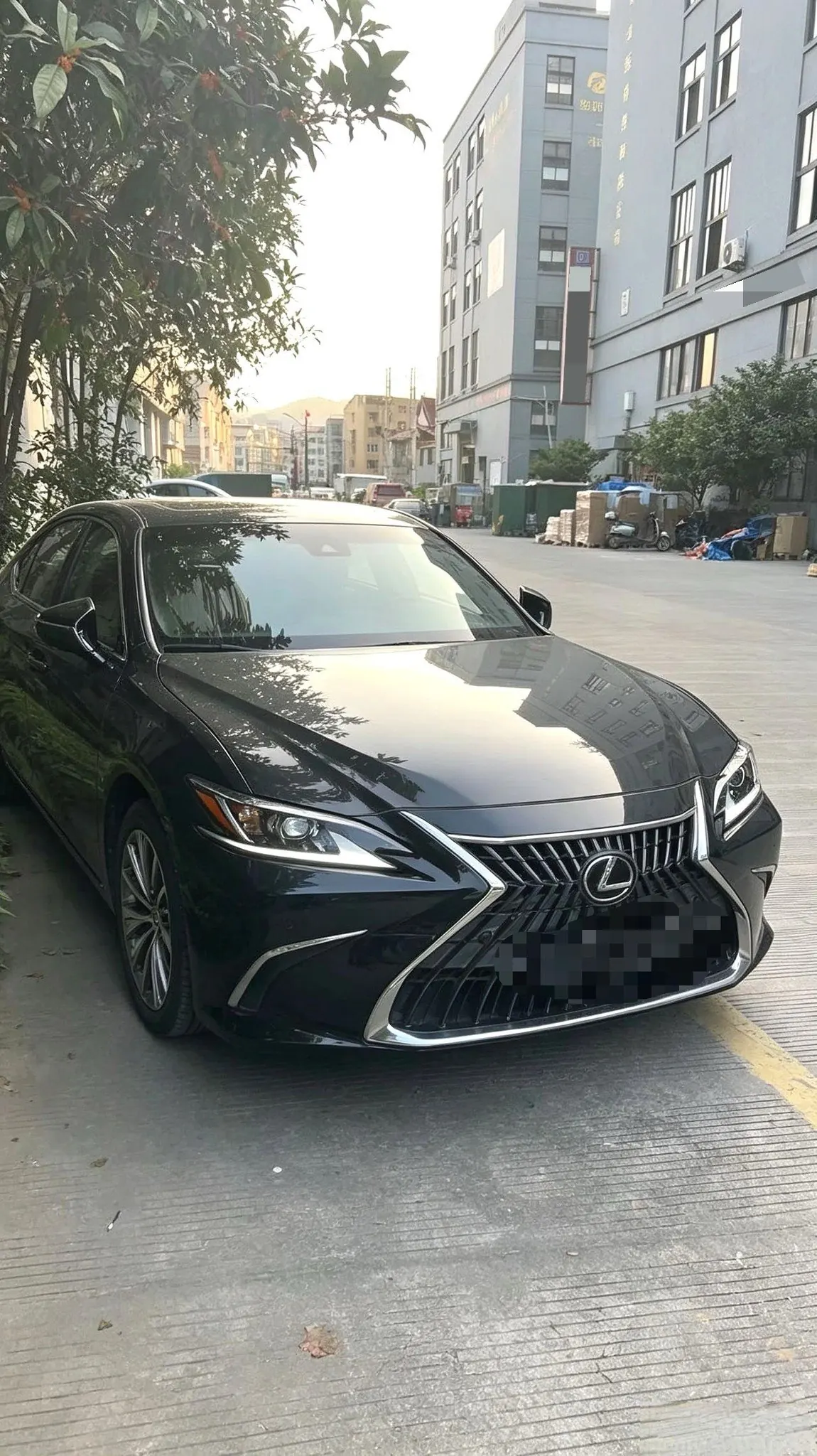 Lexus ES (Imported) 2020 ES200 2.0 Stepless Premium Edition Automatic Gear 6