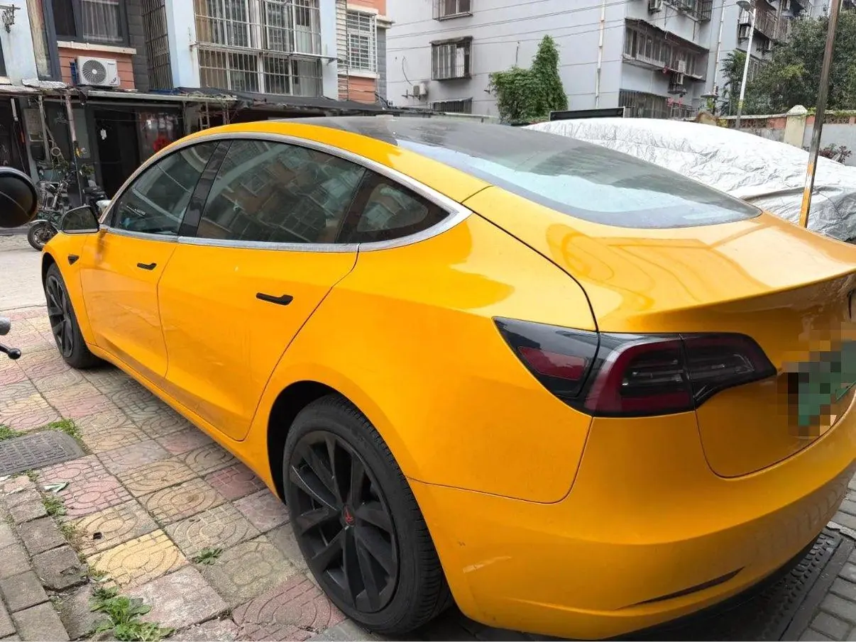 Tesla 2020 Model 3 Standard Endurance Rear Drive Upgraded Automatic Gear 5