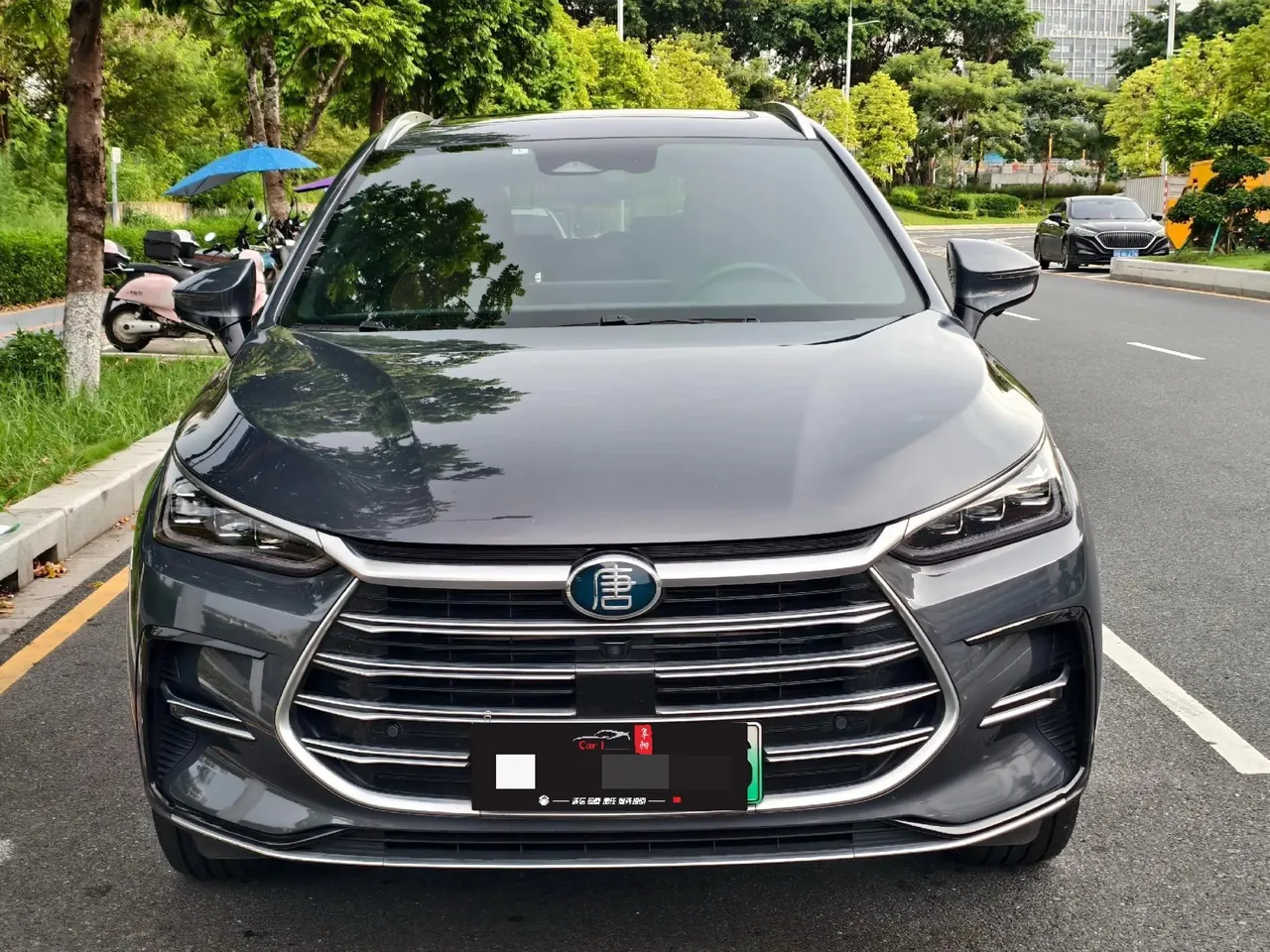 BYD Tang New Energy 2021 Tang DM-i 1.5T Stepless 112KM Honorable Automatic Gear 2