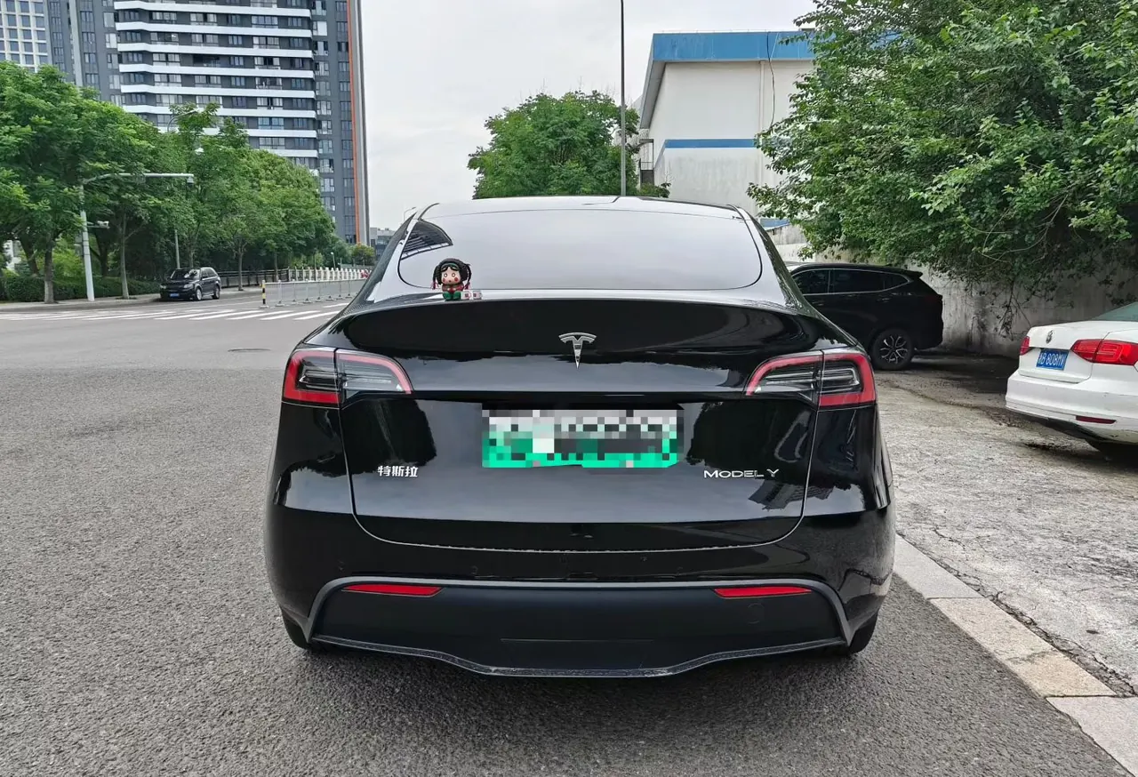 Tesla 2022 Model Y rear-wheel drive version automatic transmission 8