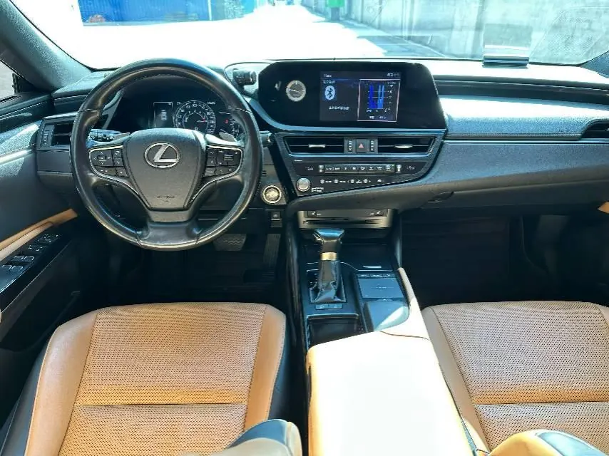 Lexus ES (Imported) 2020 ES200 2.0 Stepless Premium Edition Automatic Gear 9