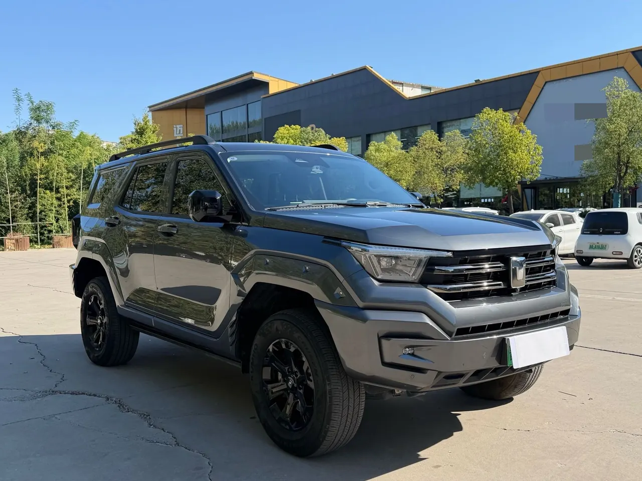 Tank 2024 Tank 400 Hi4-T 2.0T off-road version automatic gear 2