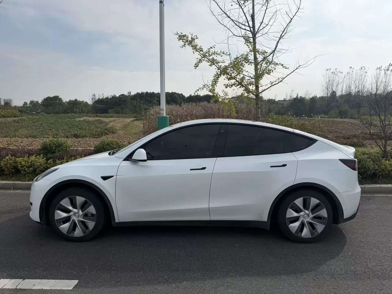 Tesla 2022 Model Y rear-wheel drive version (facelift) automatic gear 3