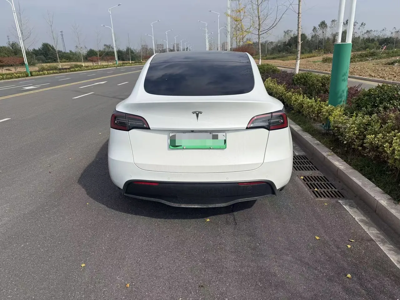 Tesla 2022 Model Y rear-wheel drive version (facelift) automatic gear 5