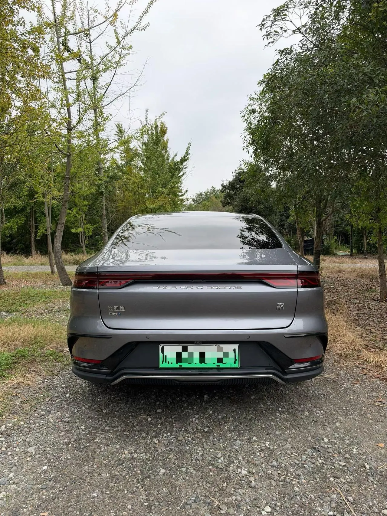 BYD 2022 Han DM-i 1.5T stepless 121KM exclusive automatic gear 3