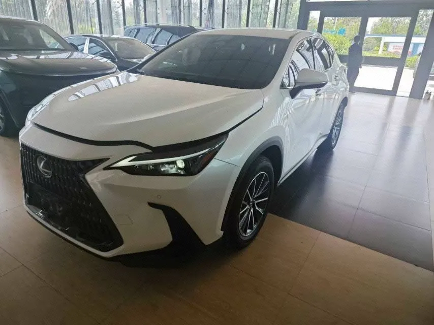 Lexus NX (Imported) 2023 NX260 2.5 Chuangyou Special Edition Automatic Gear - View 1