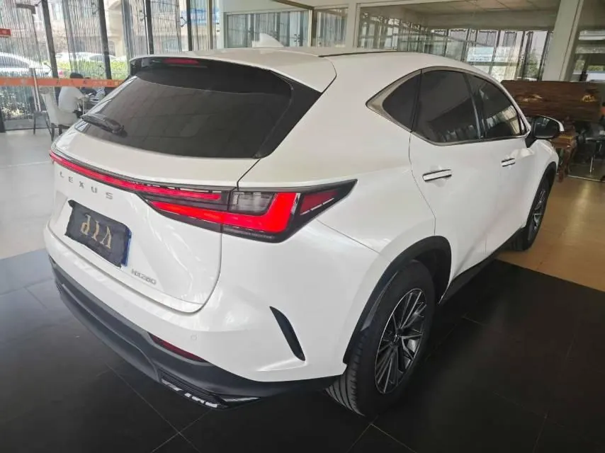 Lexus NX (Imported) 2023 NX260 2.5 Chuangyou Special Edition Automatic Gear 2