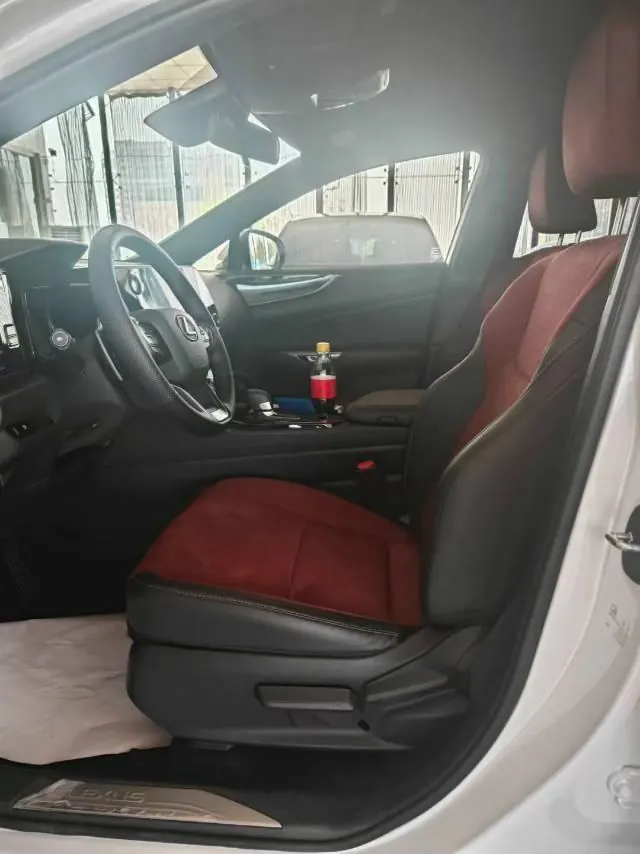 Lexus NX (Imported) 2023 NX260 2.5 Chuangyou Special Edition Automatic Gear 3