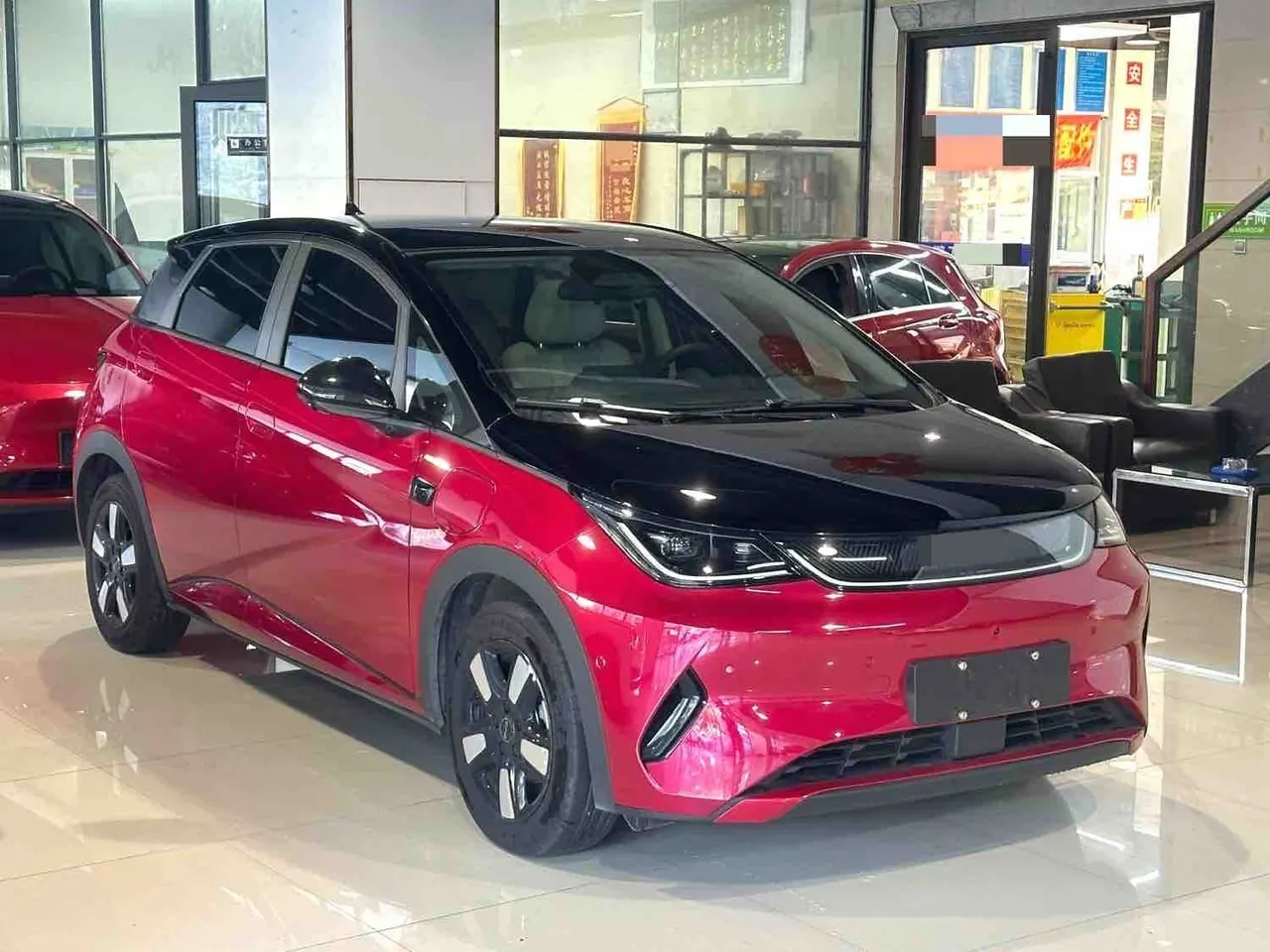 BYD 2025 Dolphin Smart Driving 410km Fashion Automatic Gear 5