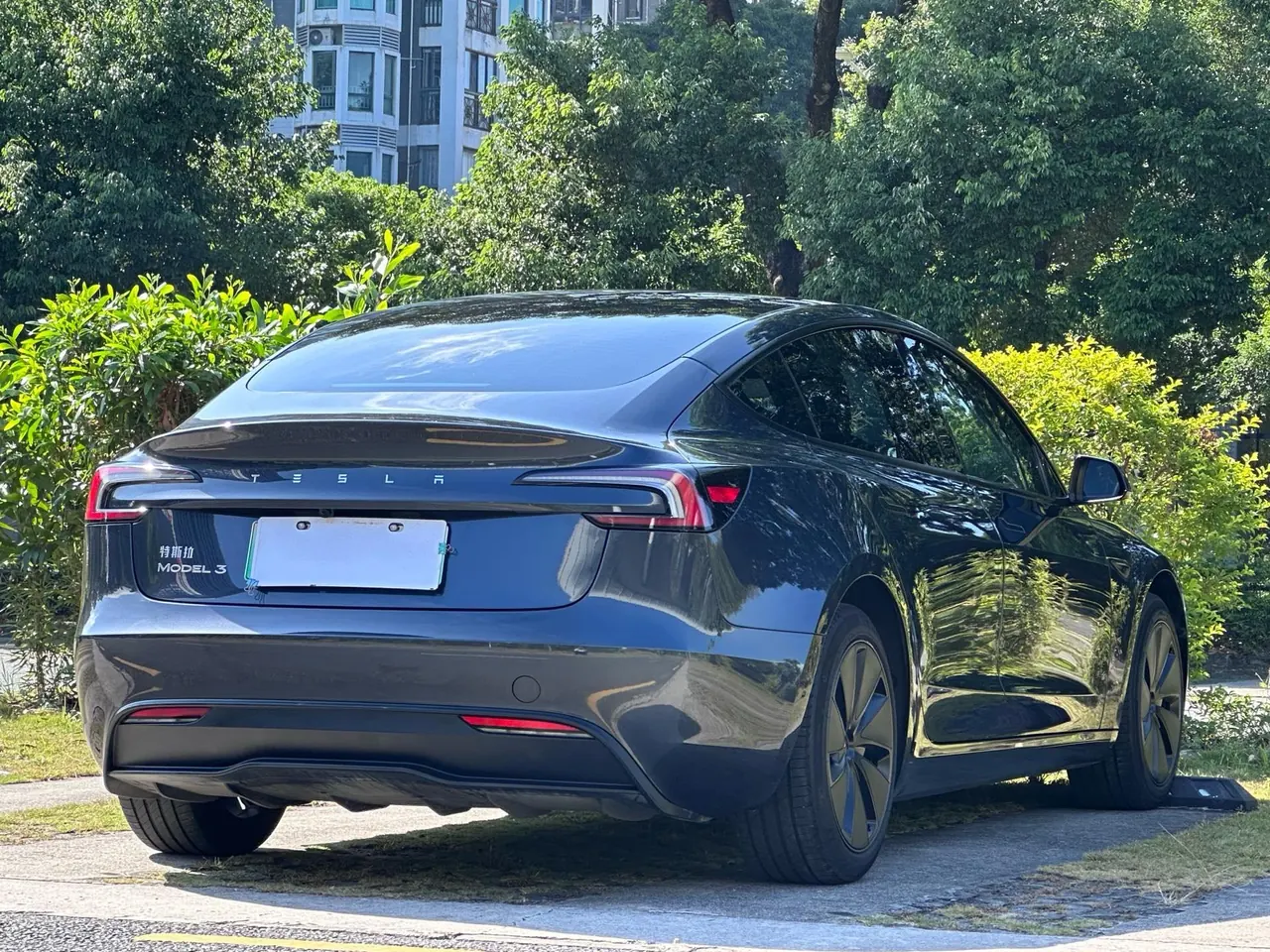 Tesla 2023 Model 3 Rejuvenation Edition Rear Wheel Drive Automatic Transmission 6