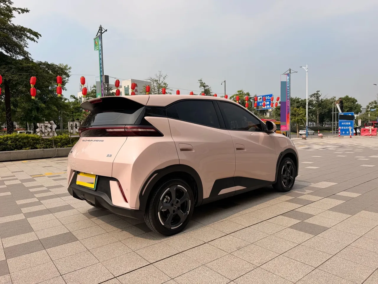 BYD 2023 seagull flying version automatic gear 5
