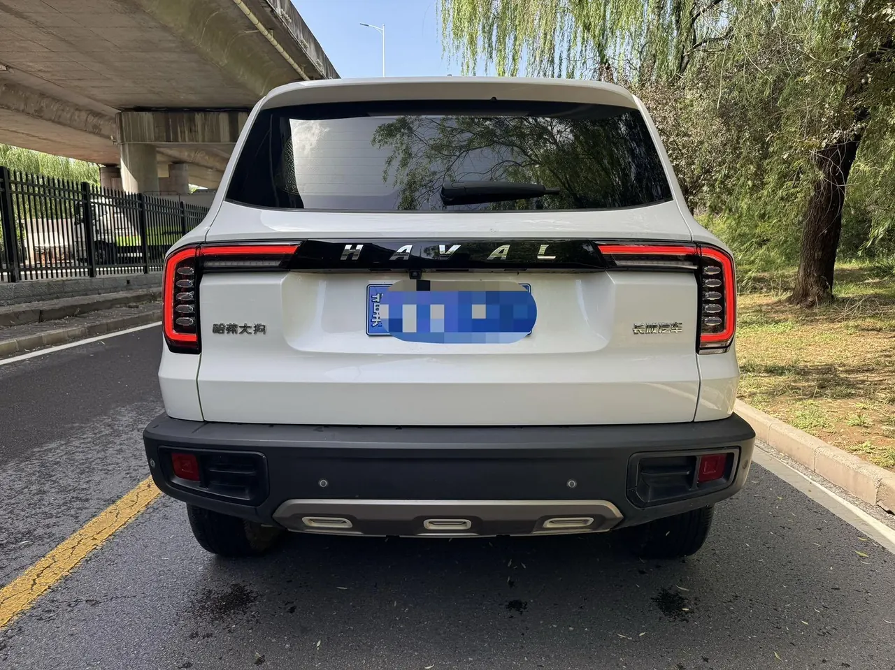 Haval 2020 big dog 1.5T Labrador version automatic gear 4