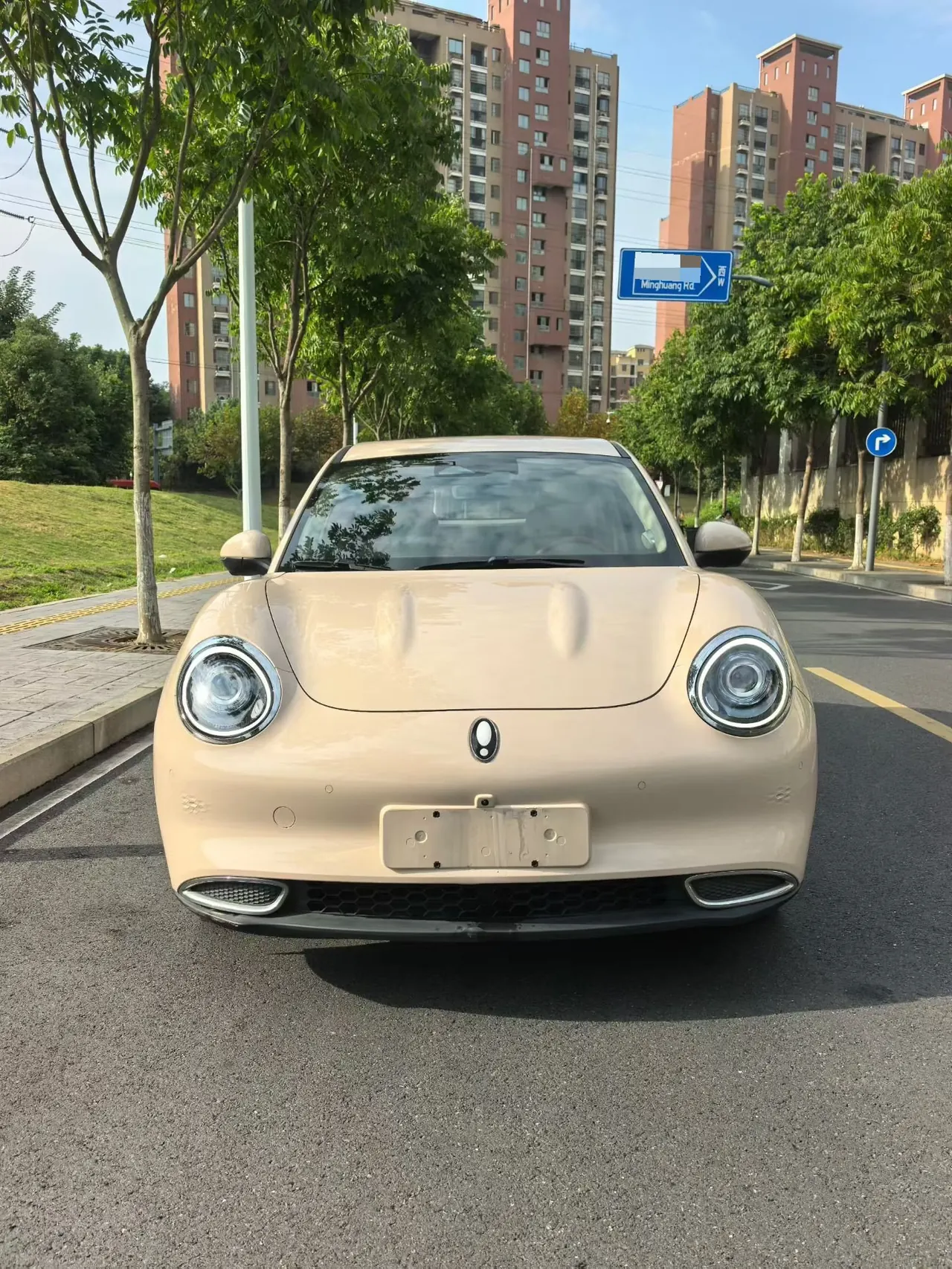 Ora 2021 Good Cats 400km Standard Endurance Athena Edition Automatic Gear 2