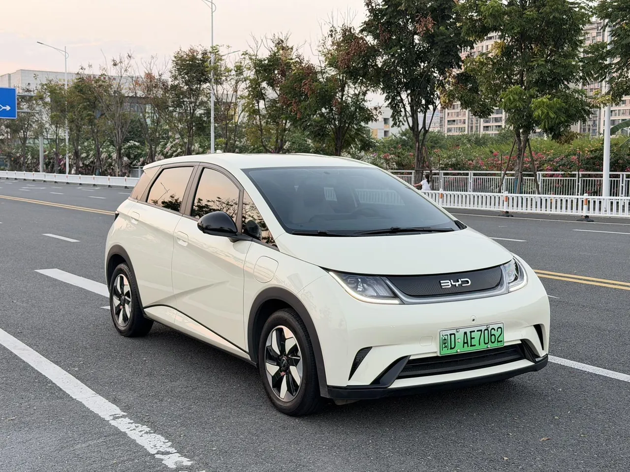 BYD 2025 Dolphins 420km Free Edition Automatic 3