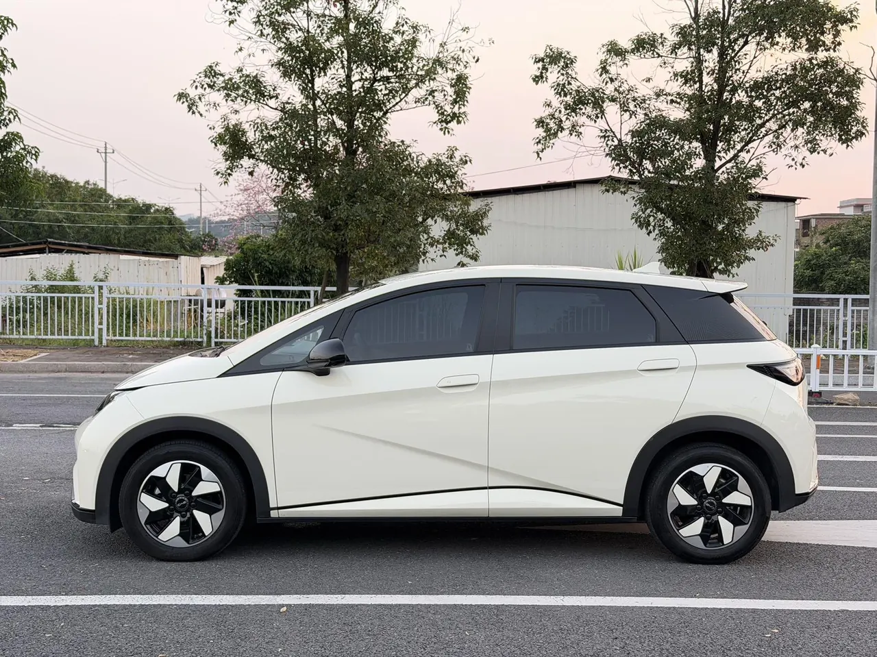 BYD 2025 Dolphins 420km Free Edition Automatic 5