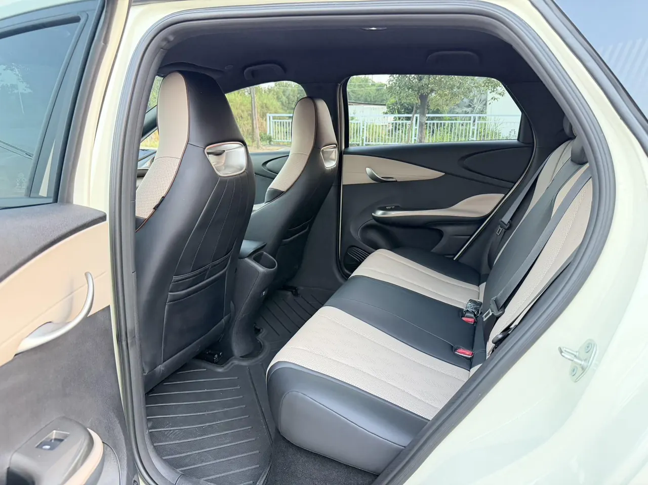 BYD 2025 Dolphins 420km Free Edition Automatic 8
