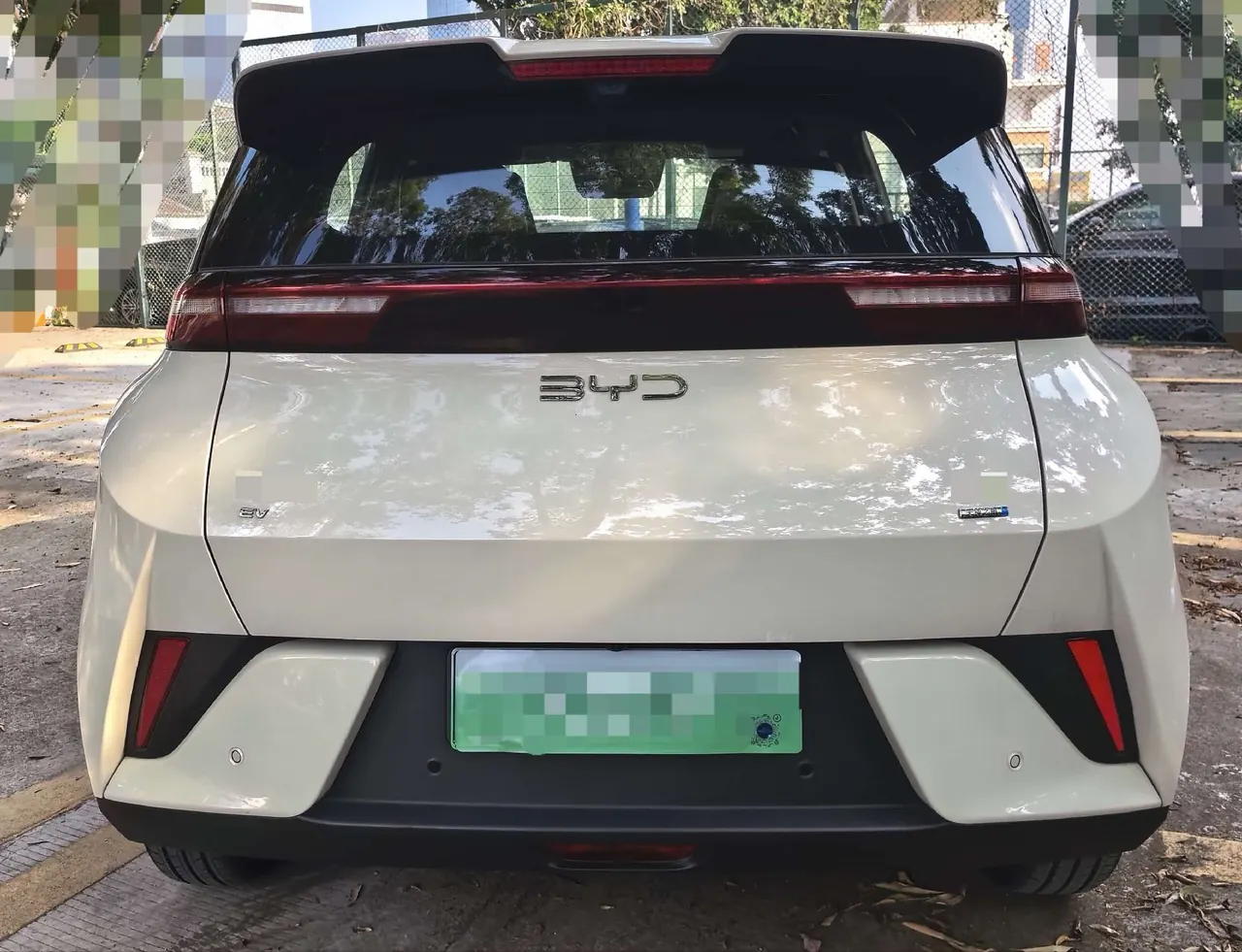 BYD 2025 seagulls 305km free version automatic gear 5