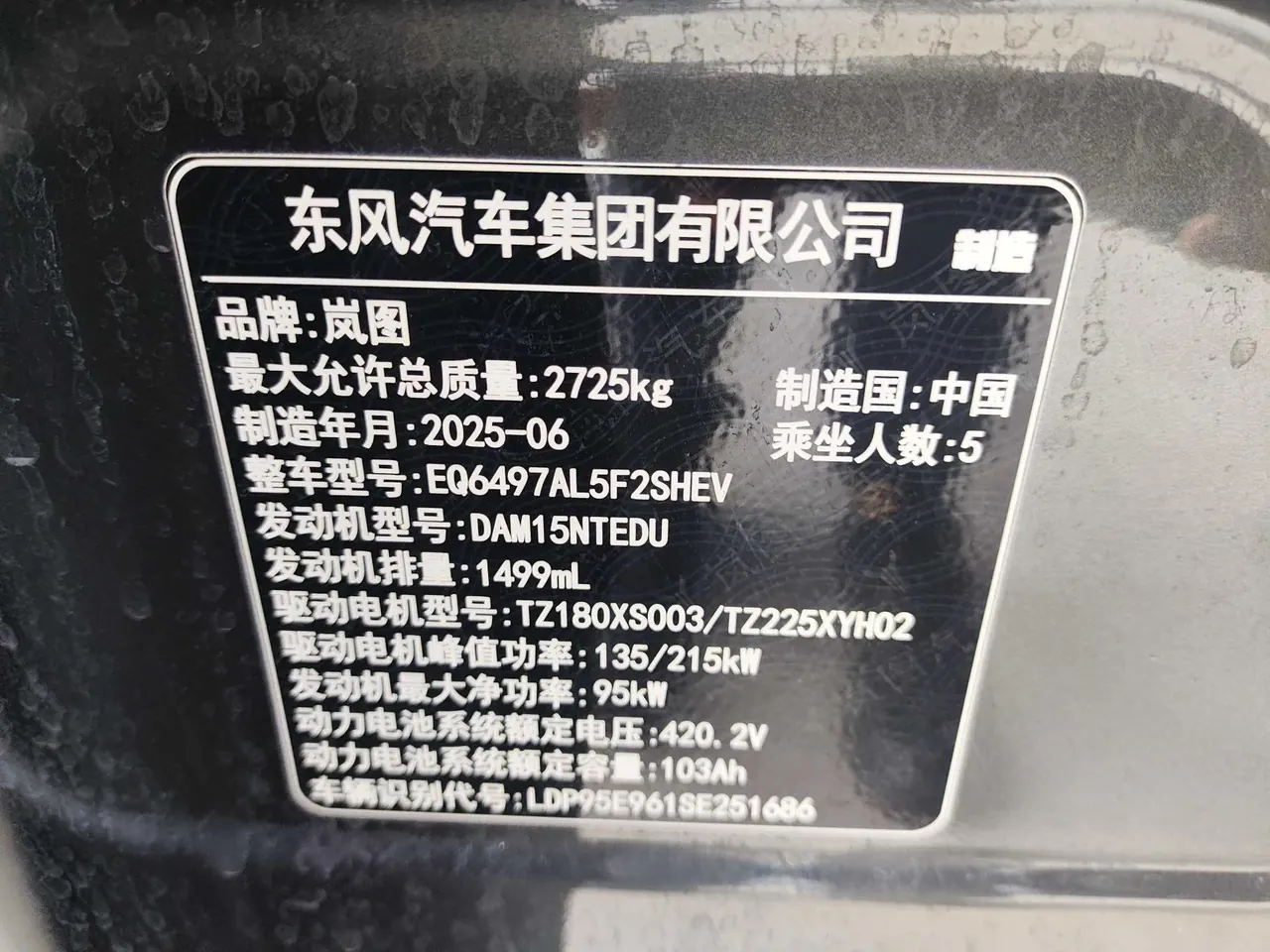 Voyah 2025 FREE four-wheel drive dry Kun version of automatic gear 10