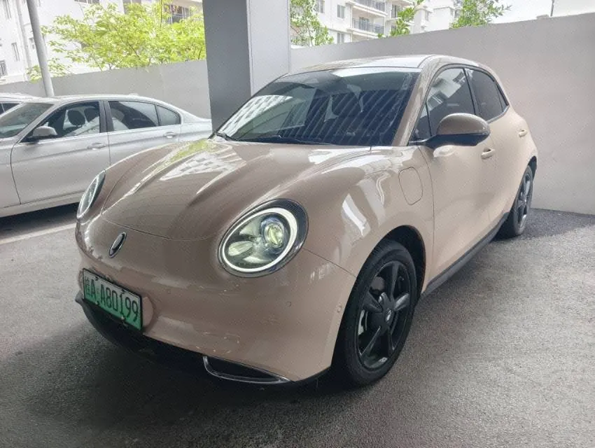 Ora good cat GT 2024 good cat GT Mulan version 401km honor 126kW automatic gear - View 1
