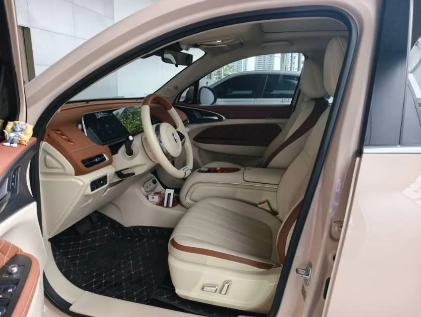 Ora good cat GT 2024 good cat GT Mulan version 401km honor 126kW automatic gear 5