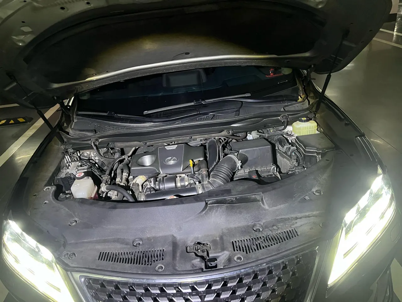 Lexus RX (Imported) 2020 RX300 2.0T Four-wheel Drive Elegant Edition (Modified) Automatic Gear 4