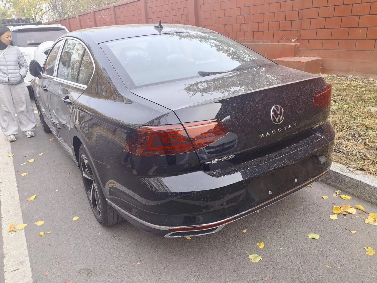Volkswagen 2026 Magotan 2.0TSI 380TSI 30 million selected luxury automatic gear 2