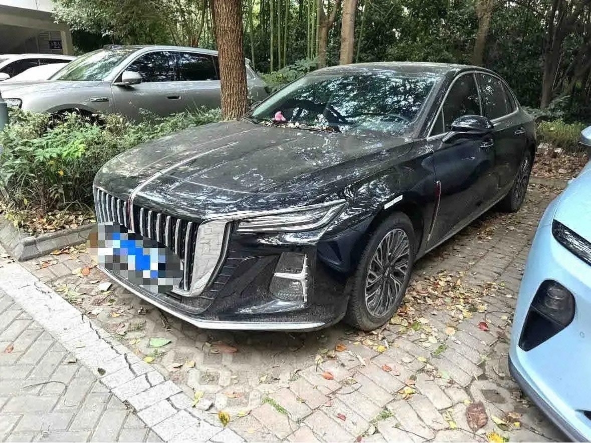 HongQi 2024 H5 2.0T Zhilian Qi Chang Edition Automatic Gear - View 1