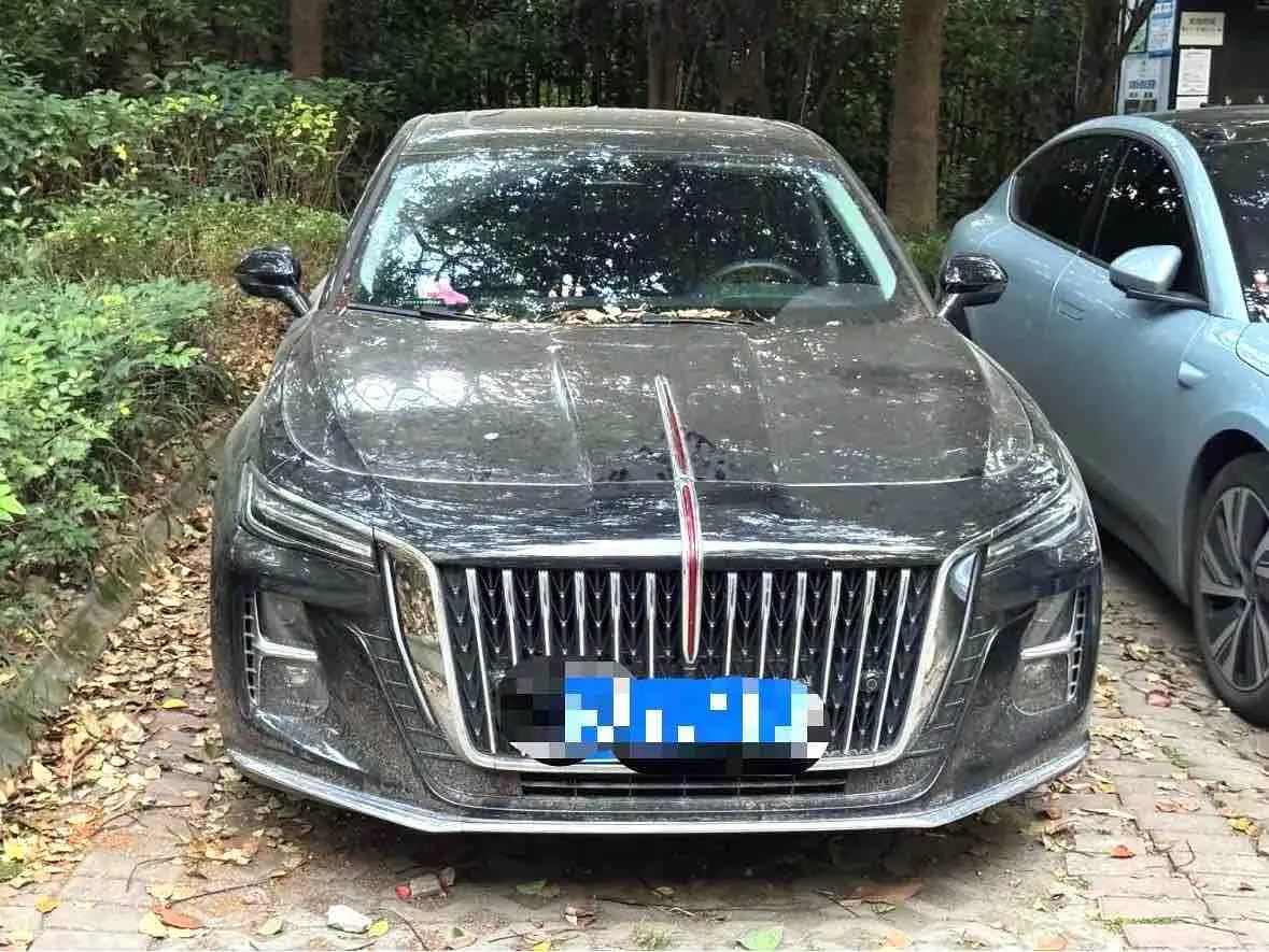 HongQi 2024 H5 2.0T Zhilian Qi Chang Edition Automatic Gear 3
