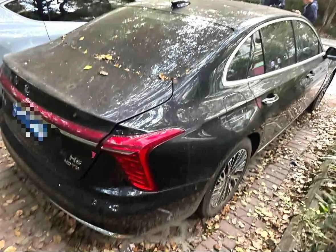 HongQi 2024 H5 2.0T Zhilian Qi Chang Edition Automatic Gear 6