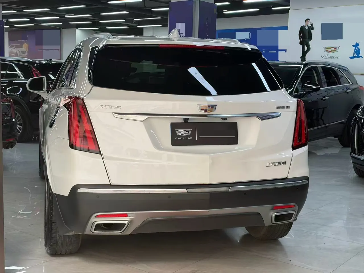Cadillac 2020 XT5 2.0T Luxury (Modified) Automatic Gear 12