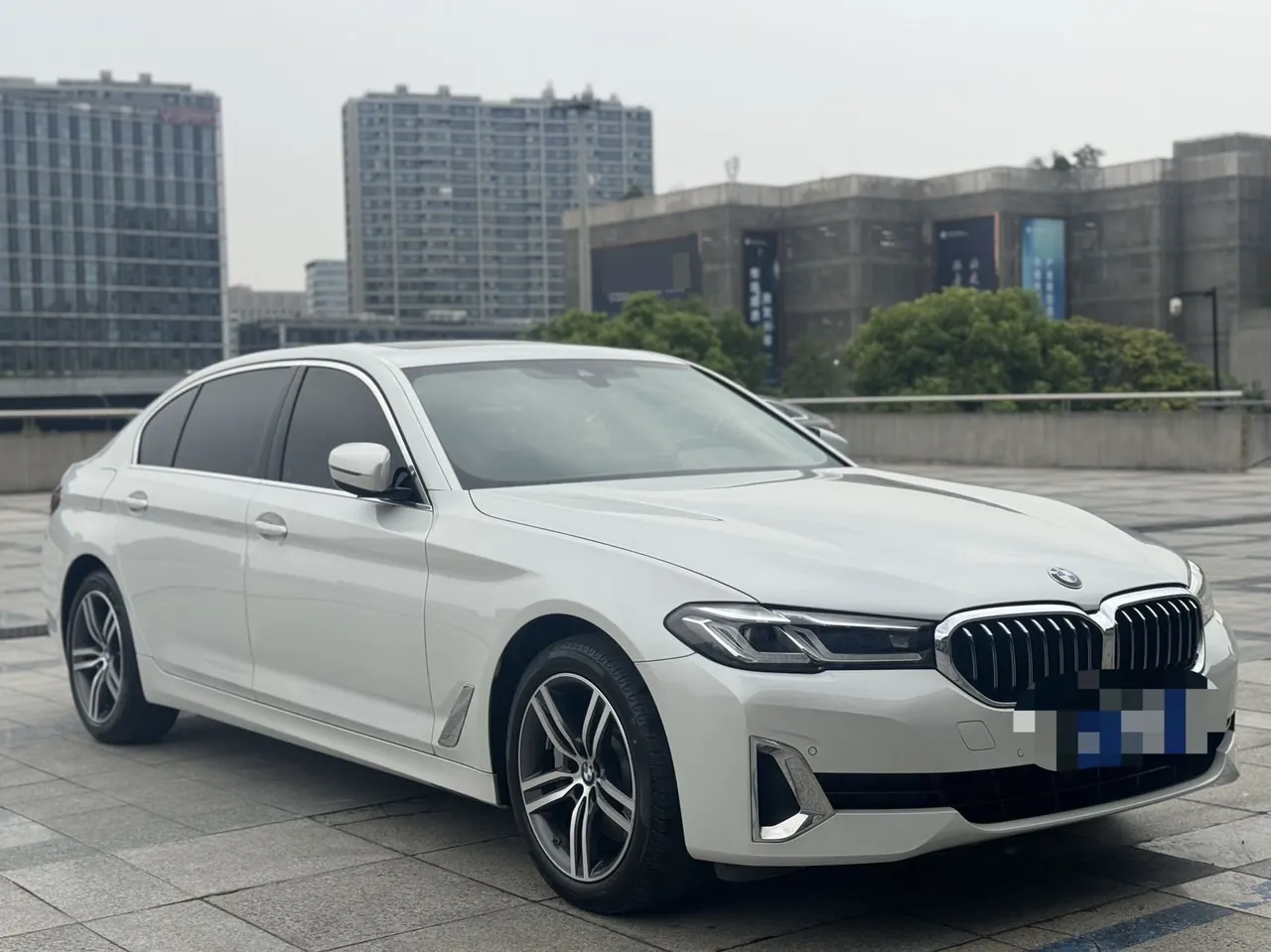 BMW 5 Series 2021 530Li 2.0T Leading Luxury Suit Automatic Gear 3