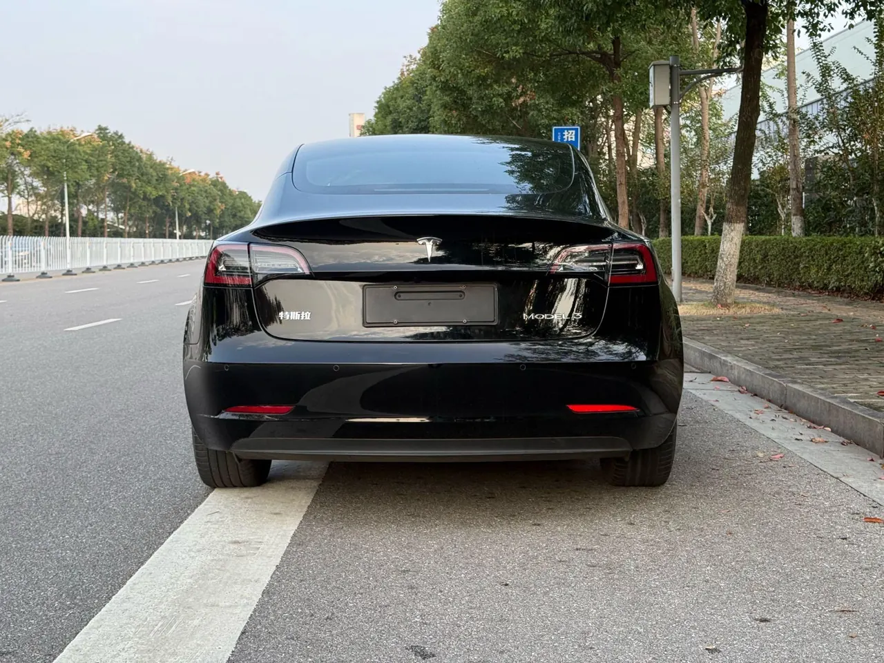 Tesla 2020 Model 3 Standard Endurance Rear Drive Upgraded Automatic Gear 10