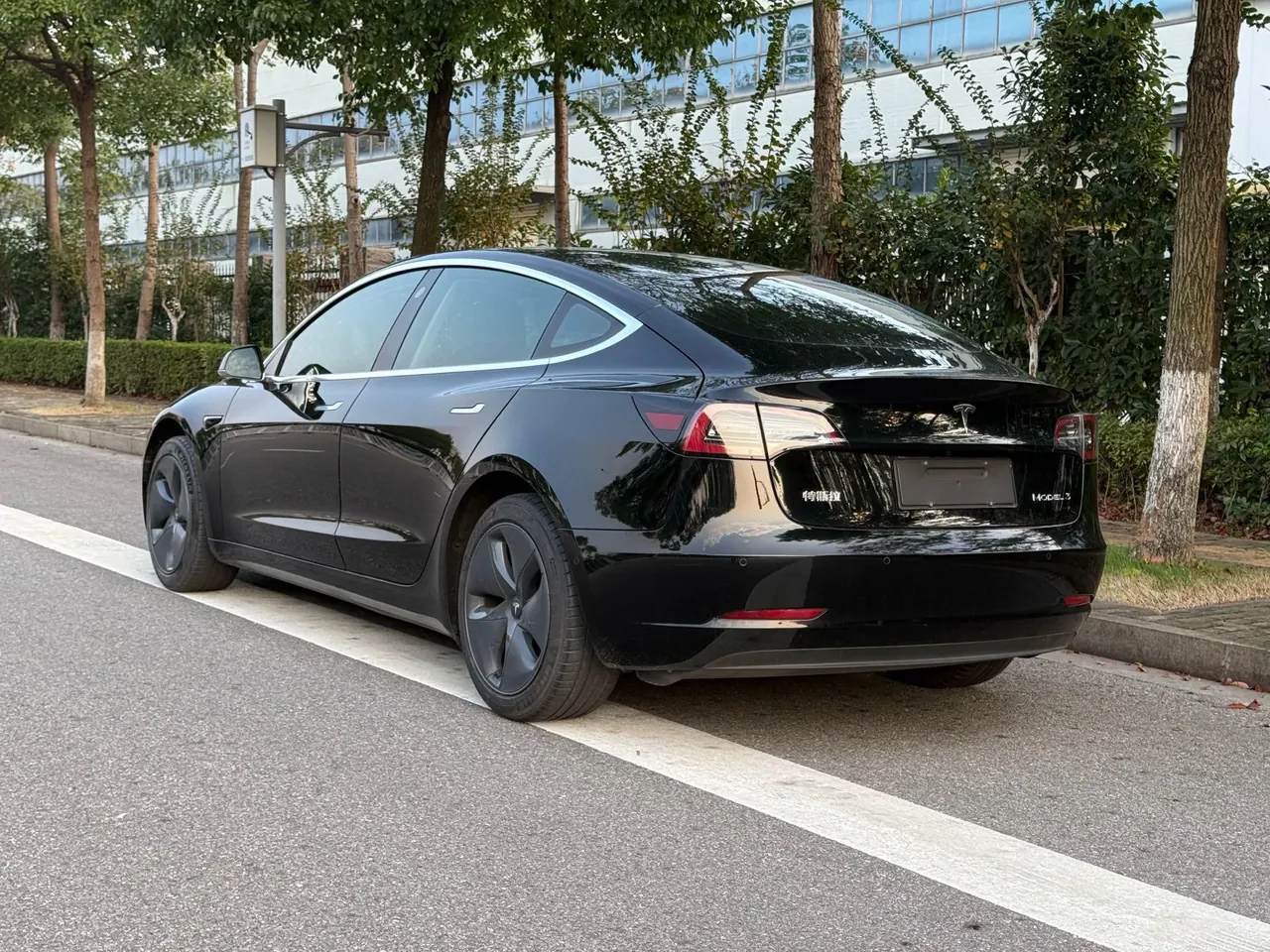 Tesla 2020 Model 3 Standard Endurance Rear Drive Upgraded Automatic Gear 11