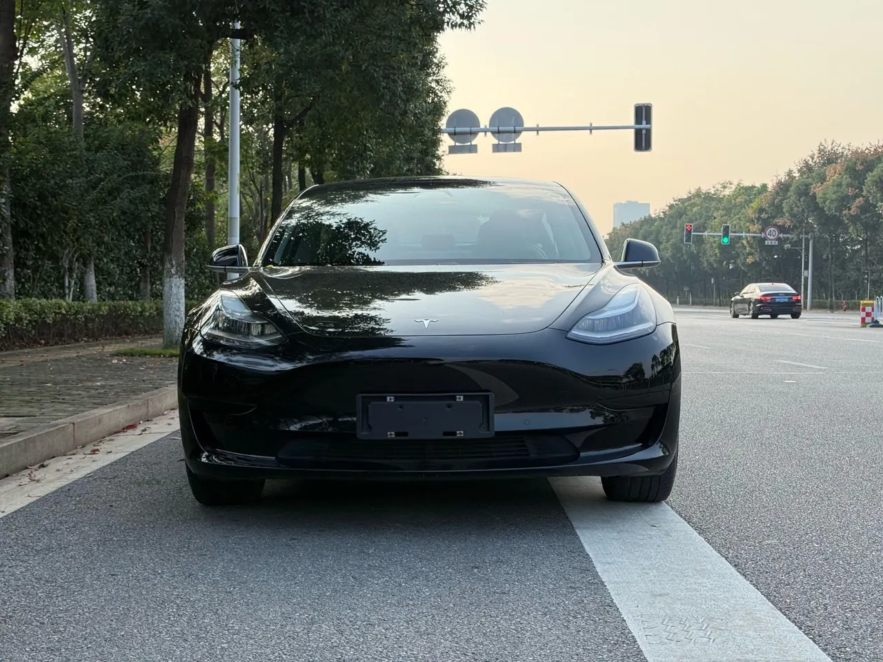Tesla 2020 Model 3 Standard Endurance Rear Drive Upgraded Automatic Gear 2