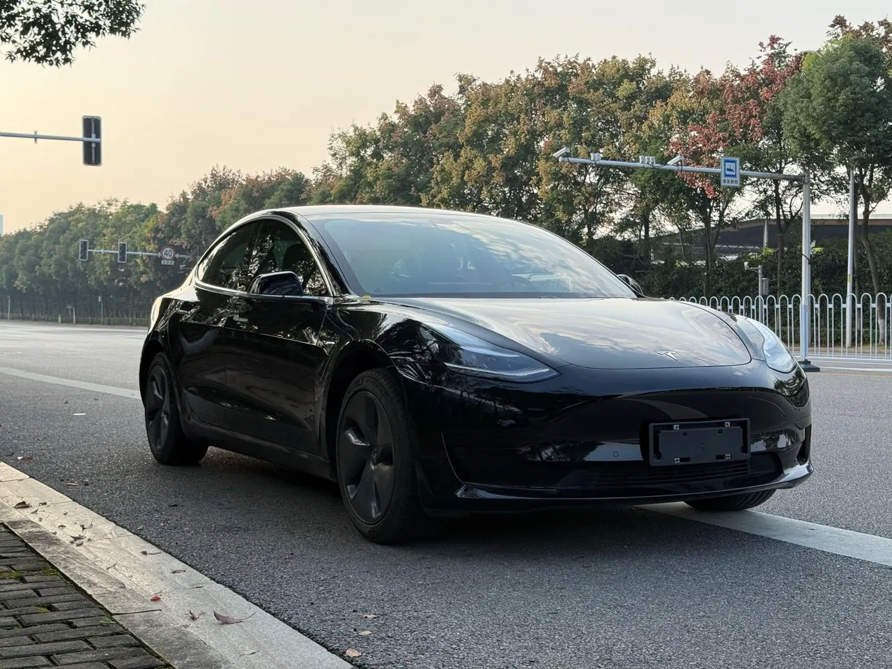Tesla 2020 Model 3 Standard Endurance Rear Drive Upgraded Automatic Gear 3