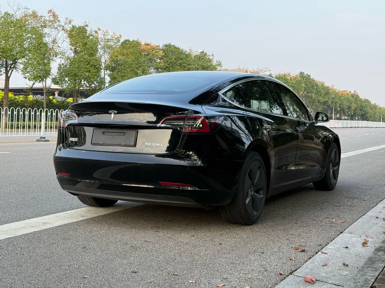 Tesla 2020 Model 3 Standard Endurance Rear Drive Upgraded Automatic Gear 9