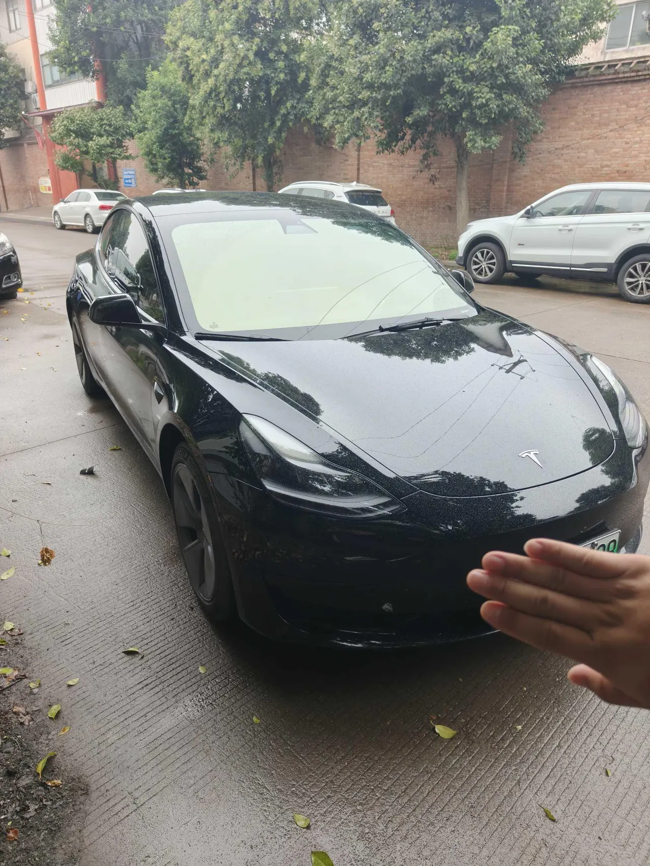 Tesla 2021 Model 3 Standard Endurance Rear Drive Upgrade (Modified) Automatic Gear 2