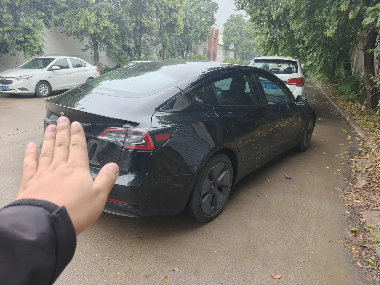 Tesla 2021 Model 3 Standard Endurance Rear Drive Upgrade (Modified) Automatic Gear 4