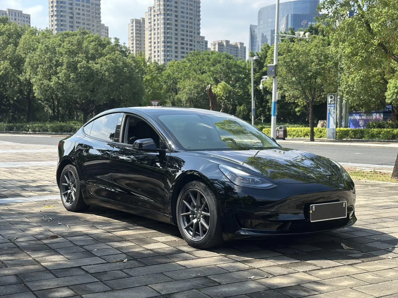 Tesla 2021 Model 3 Standard Endurance Rear Drive Upgraded Automatic Gear 2