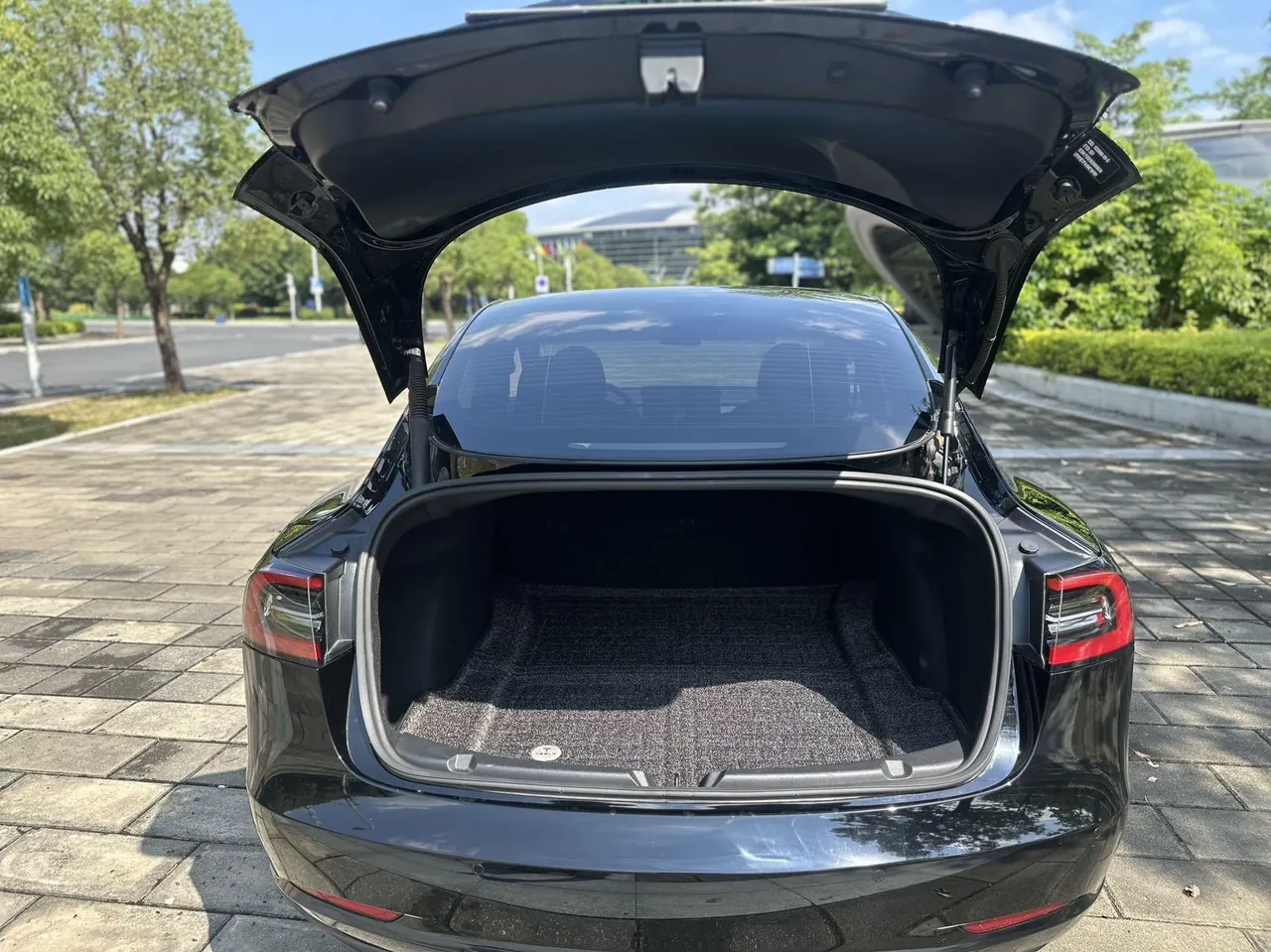 Tesla 2021 Model 3 Standard Endurance Rear Drive Upgraded Automatic Gear 8