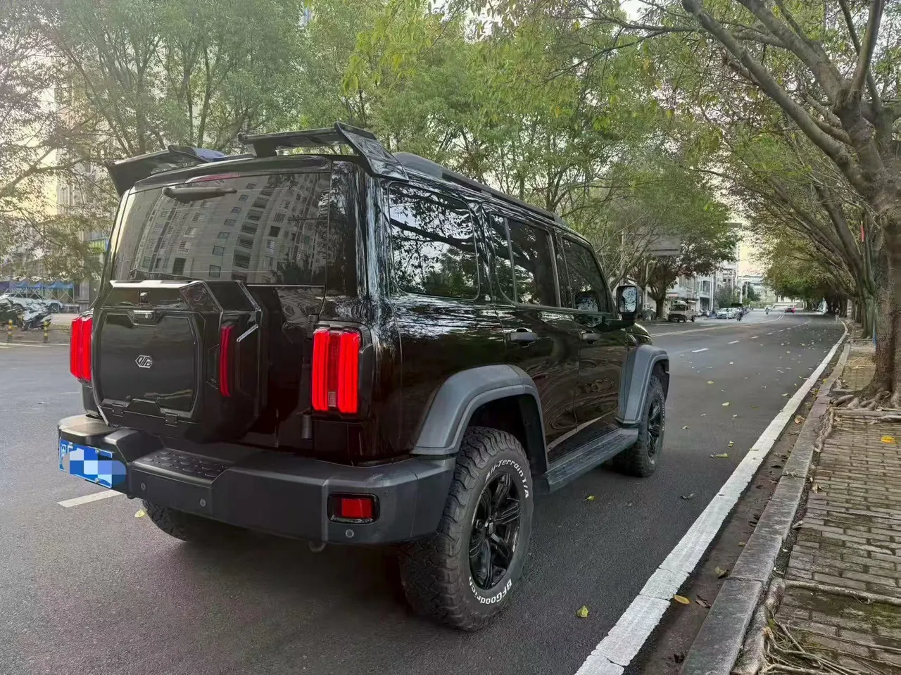 Tank 2021 Tank 300 2.0T Off-road Conqueror Automatic 3