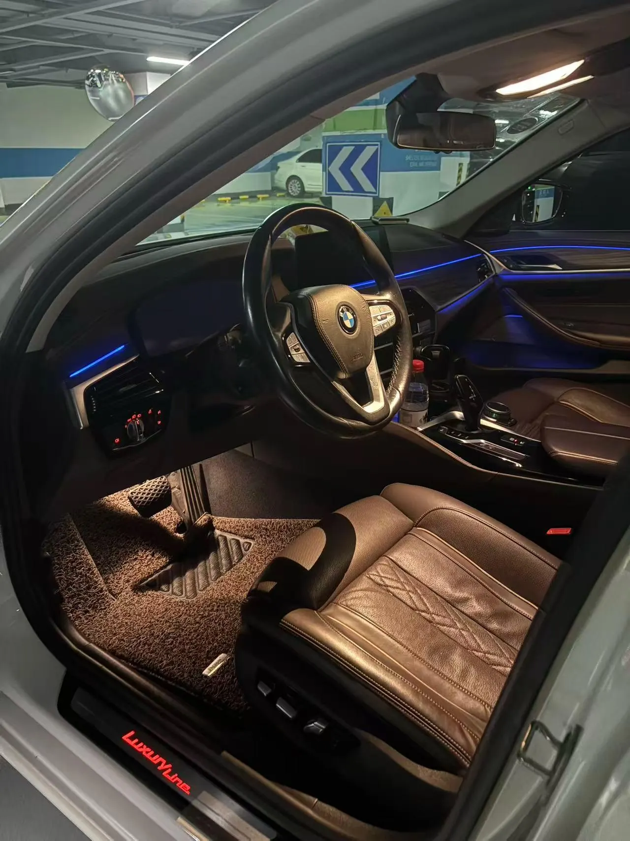 BMW 5 Series 2020 530Li 2.0T Premium Luxury Suit Automatic Gear 3